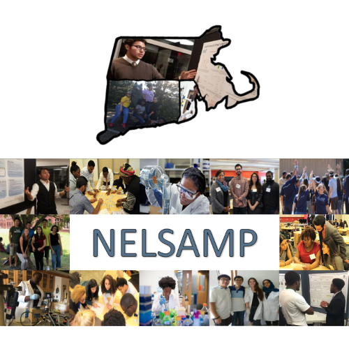 NELSAMP Logo