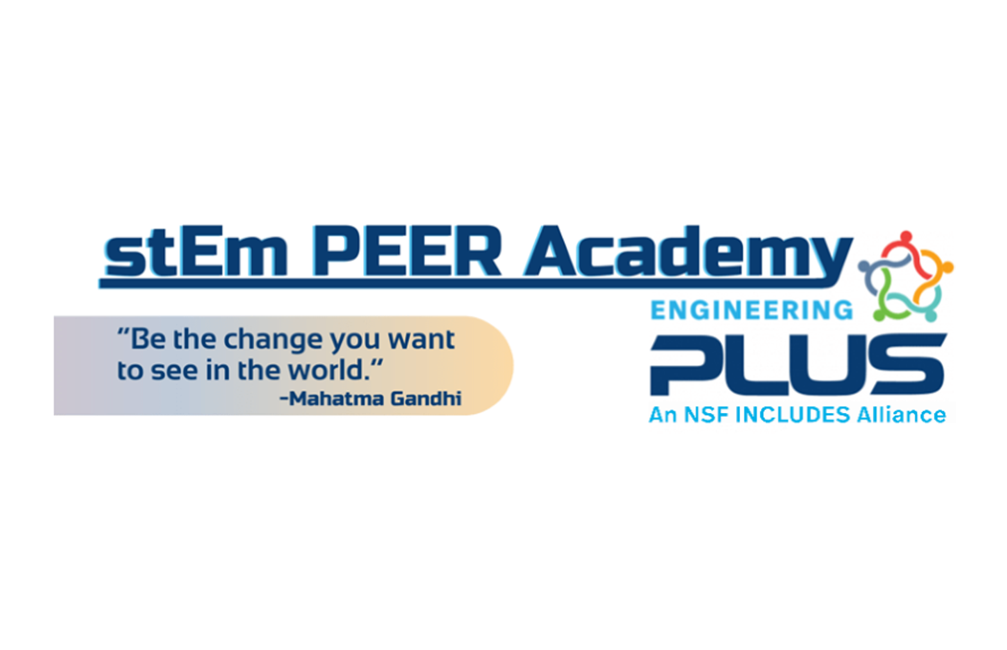 stEm PEER Academy Header Banner